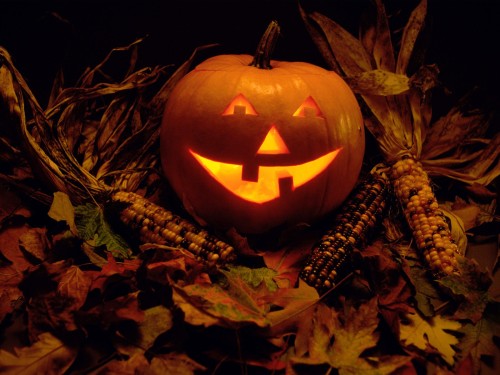 calabaza de halloween fondo
