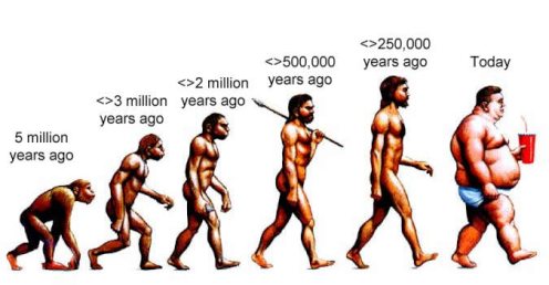 evolucion humana