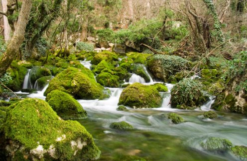 rio de agua viva