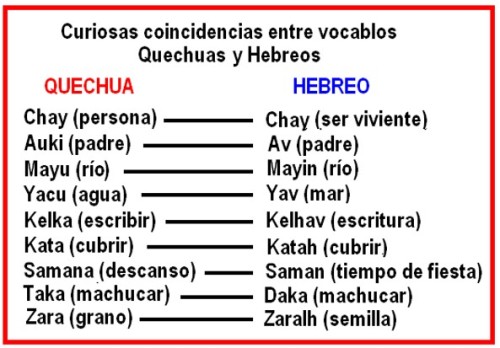 CUADRO 5 TRIBUS