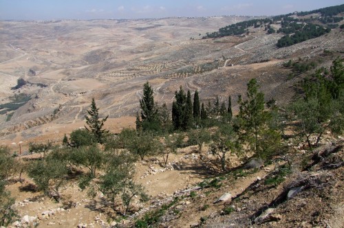 monte nebo fondo