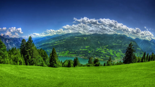 paisaje verde