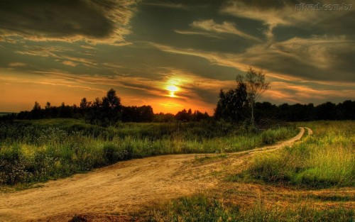 paisaje de campo