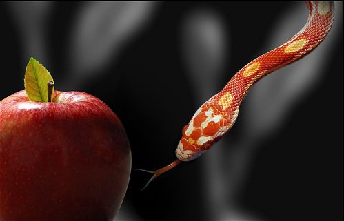 manzana-y-una-vibora
