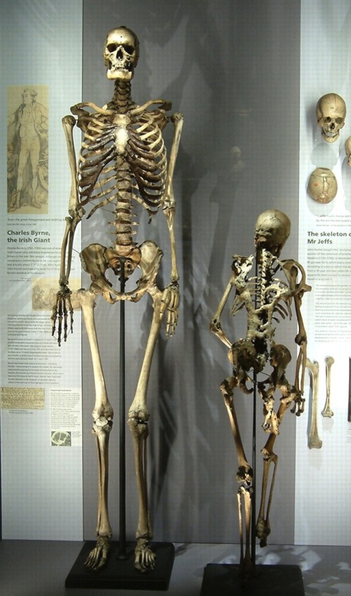 og nephilim