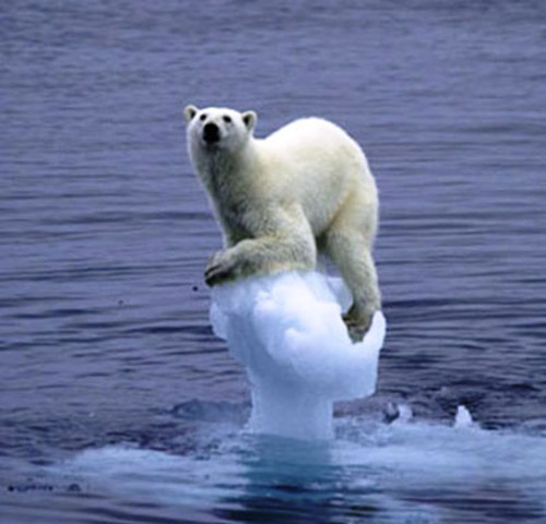 Cambio climatico