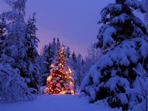 Arbol_de_Navidad_Iluminado-