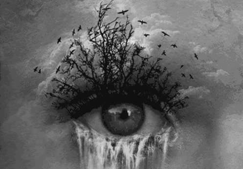 ojo