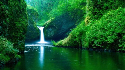 cascada entre verdes