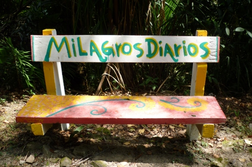 milagros diarios