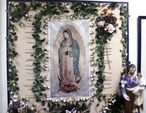 virgen de guadalupe rodeada de flores