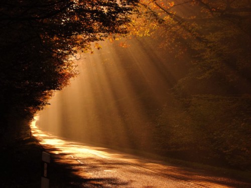 camino