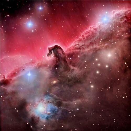 nebulosa-cabeza-de-caballo