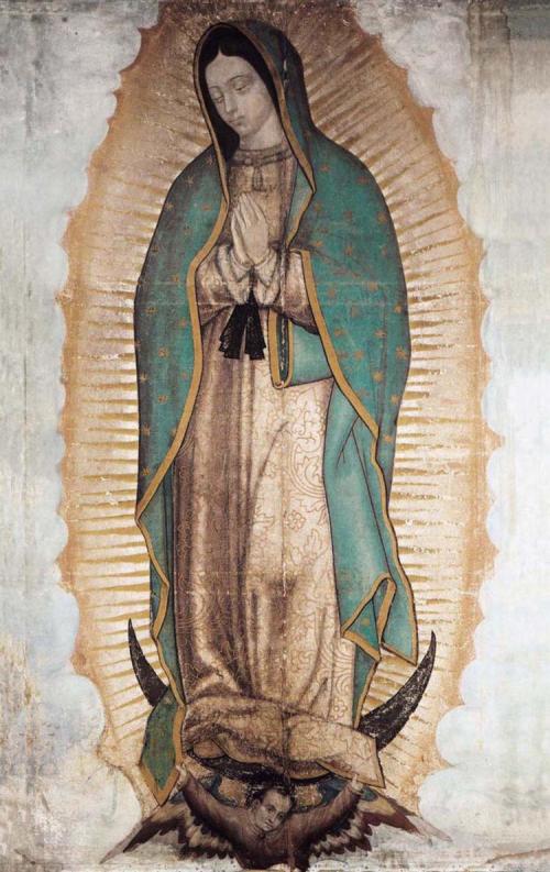 manto de estrellas de la virgen de guadalupe