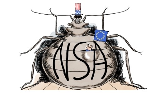 nsa insecto