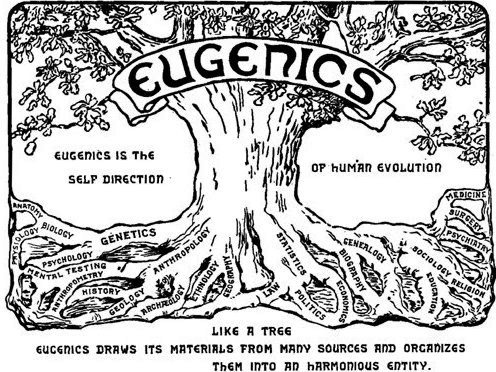 eugenesia
