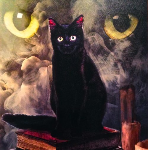 gato negro halloween
