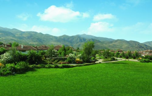 paisaje verde