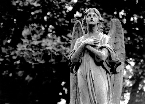 angel por evilstone fondo
