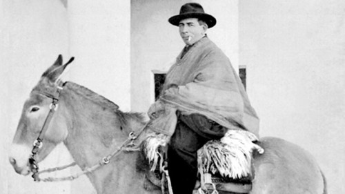 brochero caballo