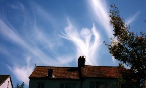 size1_18178_angel_uno