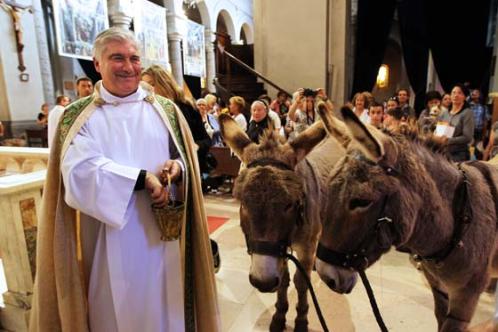 cura misa y burro