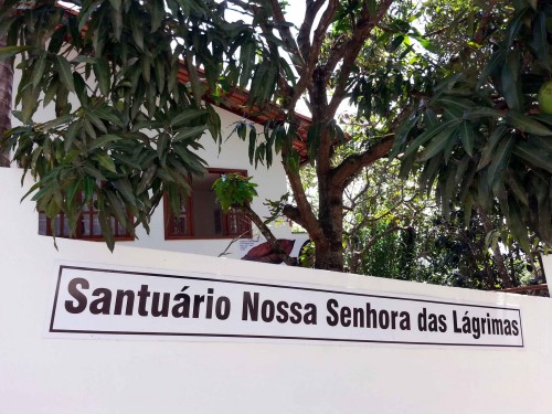 arboles en el santuariio de las lagrimas