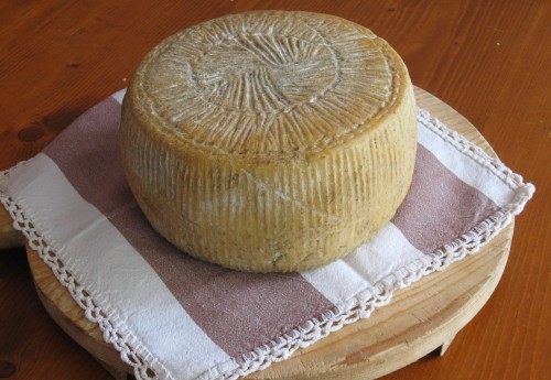 queso caciotta stagionata