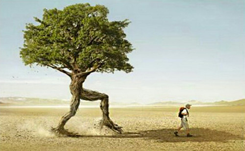 El-arbol-genealogico-1