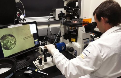 laboratorio de quimeras