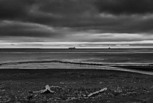 rusia paisaje gris fondo