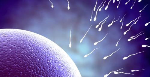 fertilizacion in vitro fondo