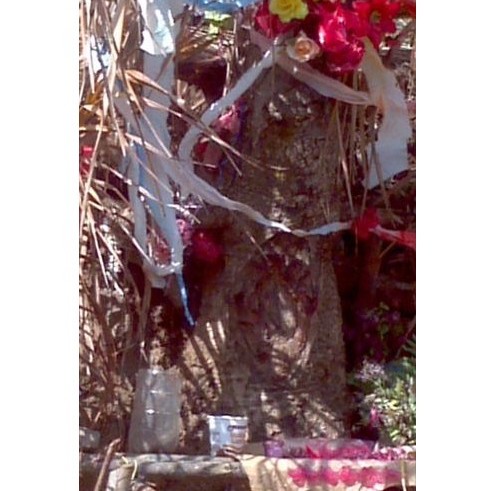 virgen en el congo el salvador