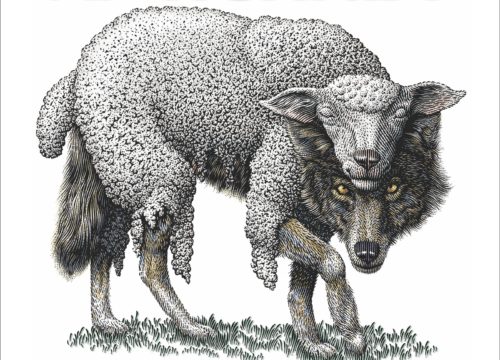 lobo disfrazado de cordero