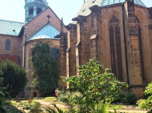 rosal de Hildesheim visto de lejos