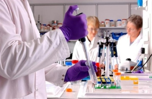 investigacion cientifica