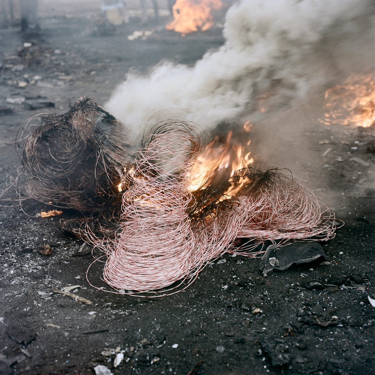 Permanent error by pieter hugo