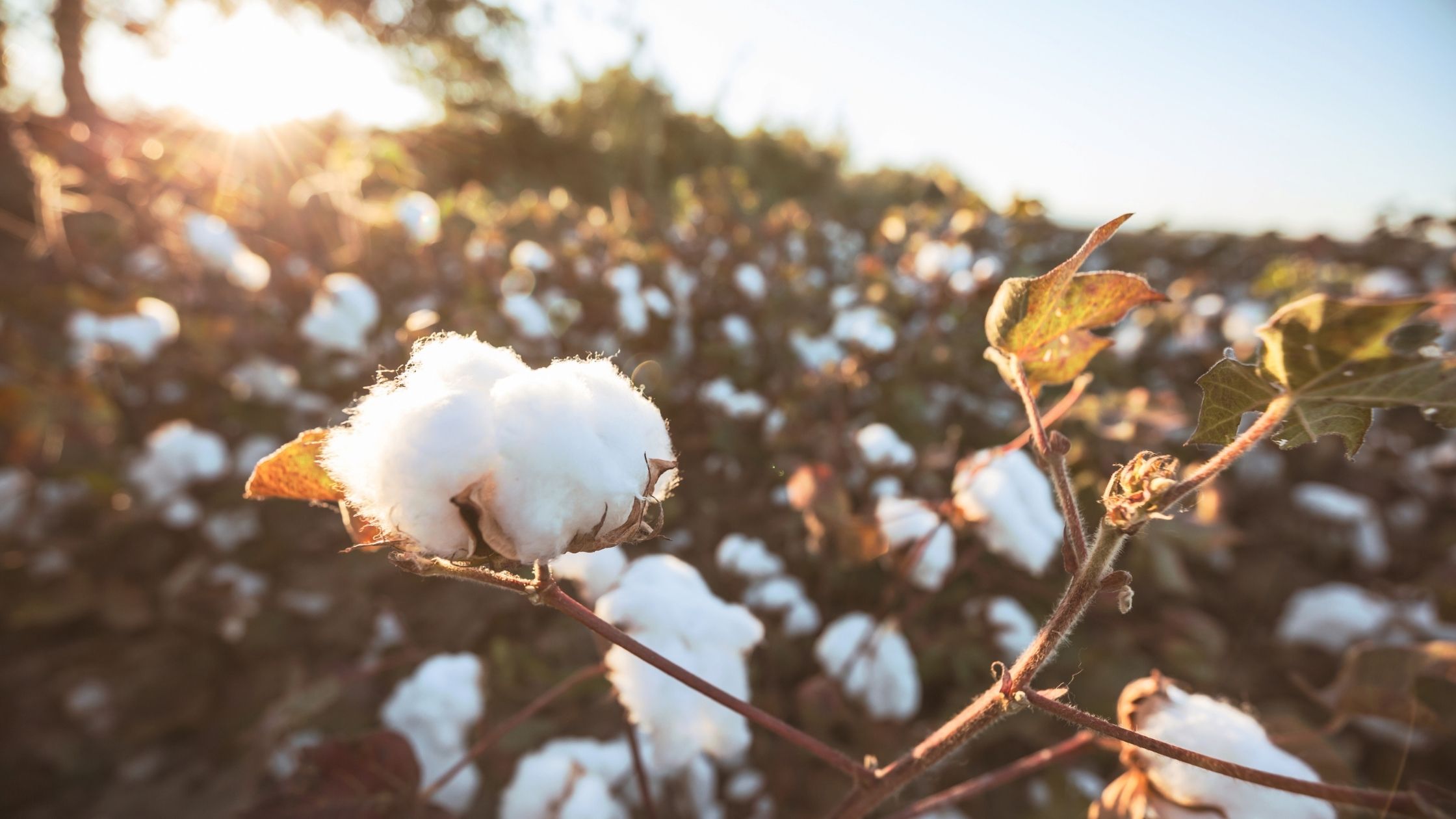 4 powerful changes making fashion more sustainable_bon+berg