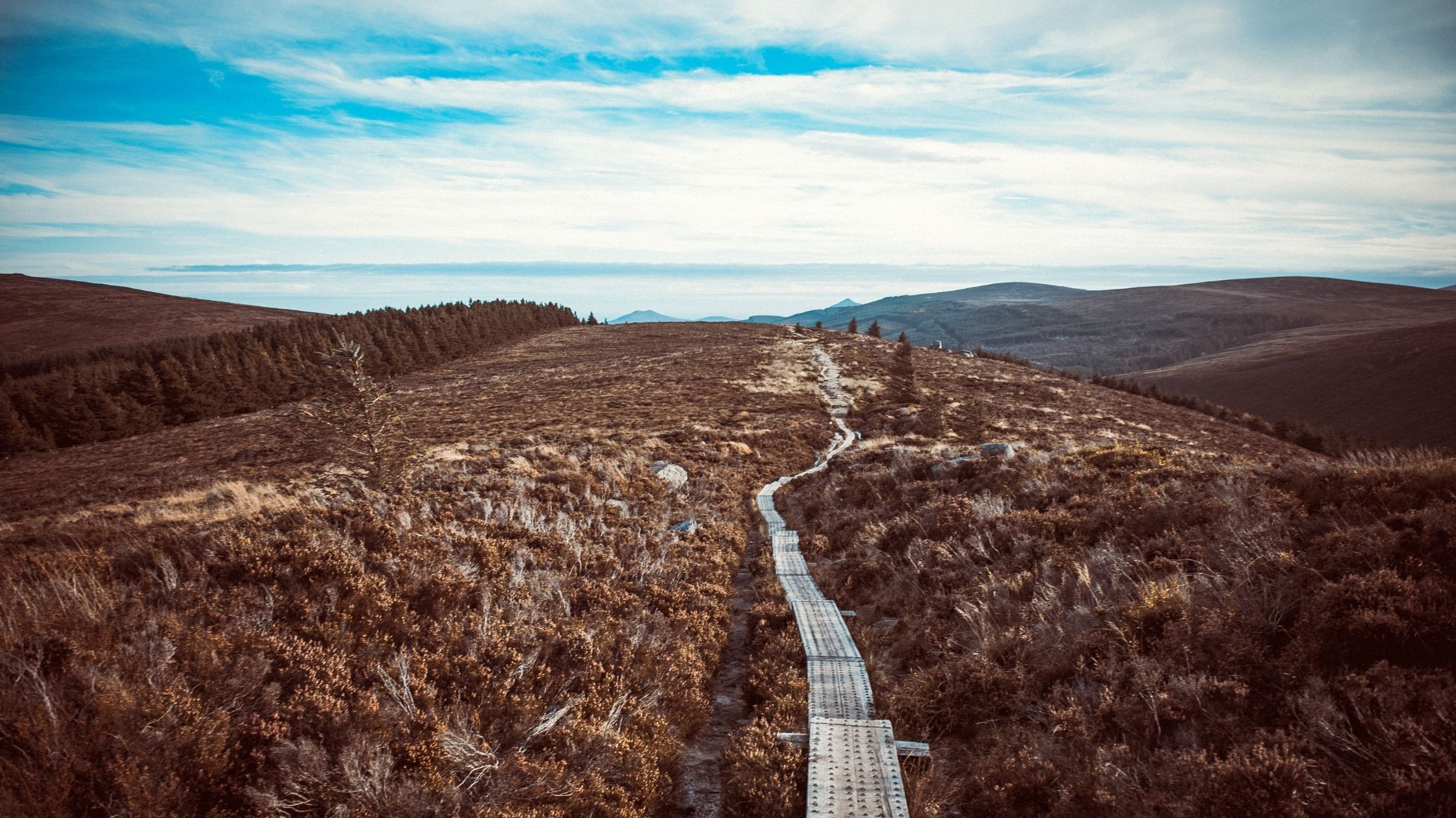 5 of the best autumn walks in Co. Dublin