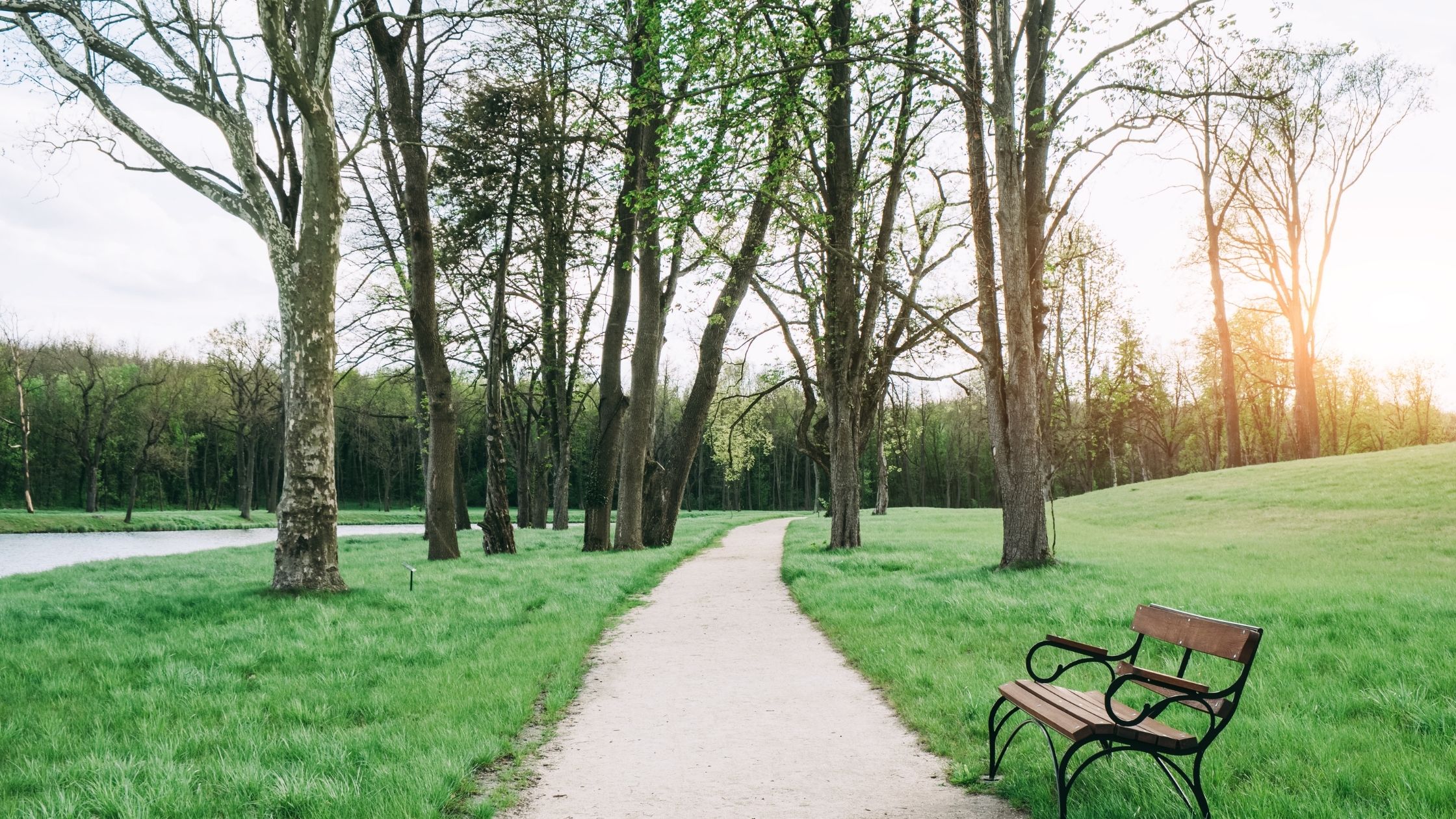 7 easy ways to make more time in nature this new year