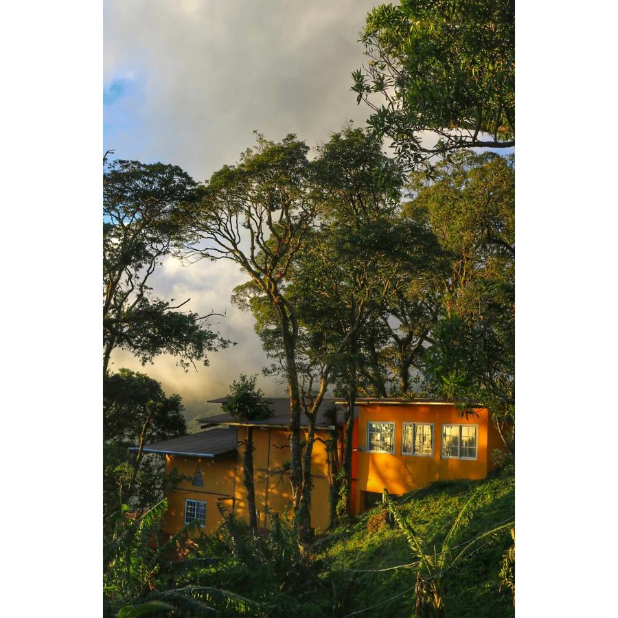 A yellow building is nestled among some trees in the cloudforests of Panama, the sun is shining on the building