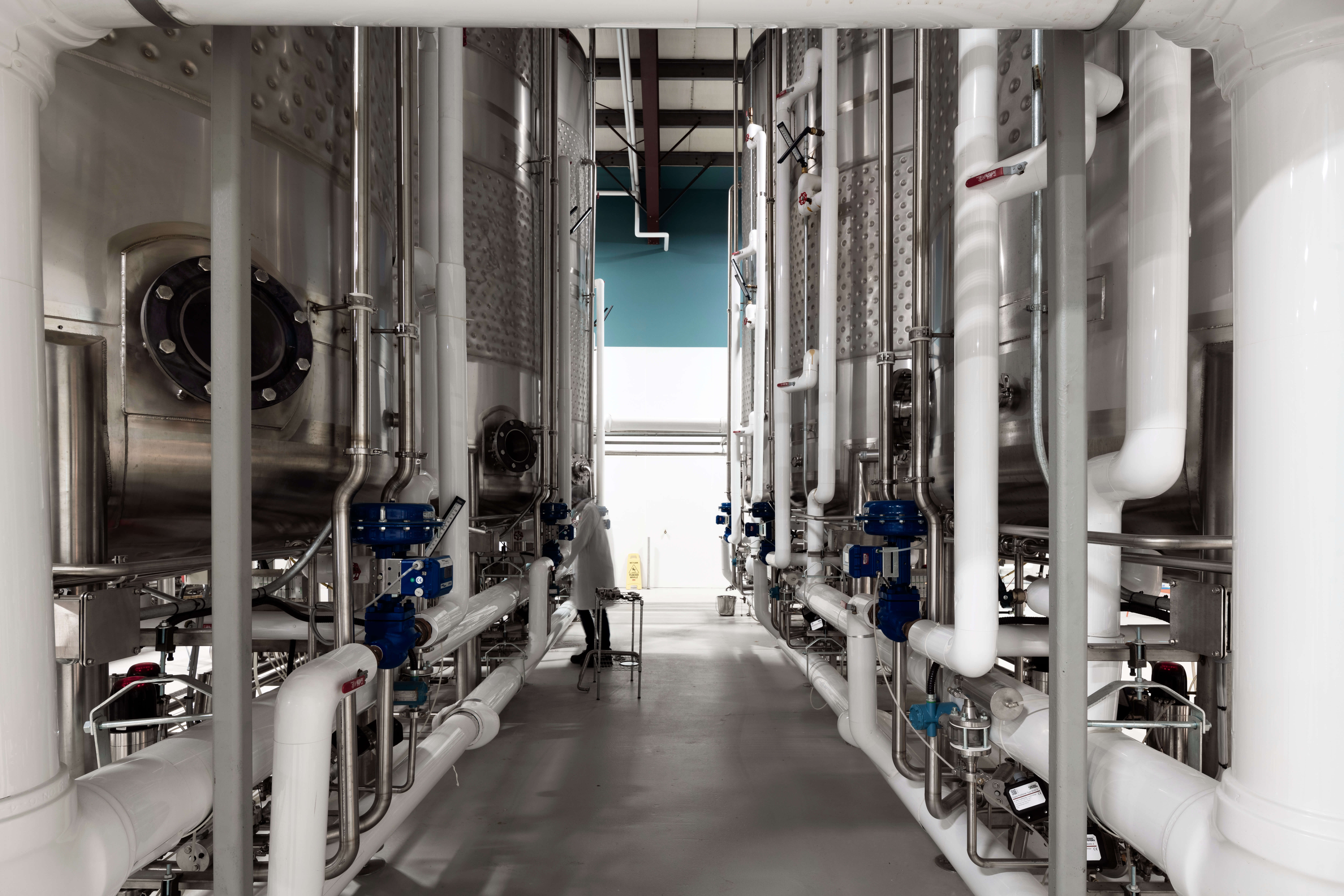 Noblegen plant operator working in our fermentation facility