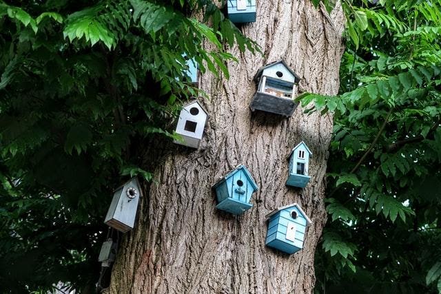 Bird houses in Amsterdam
