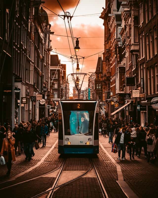 Trams in amsterdam