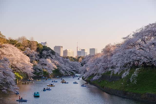 water sports in Tokyo river