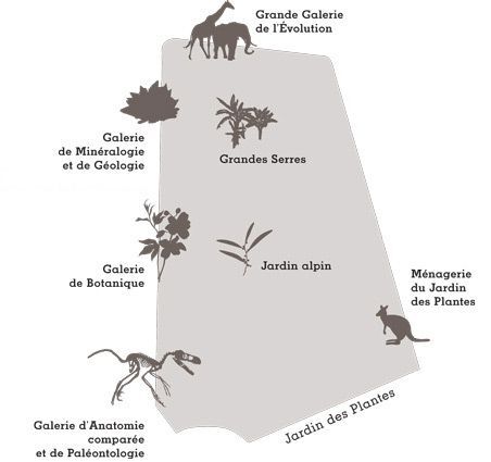 Jardin des Plantes museum locations paris