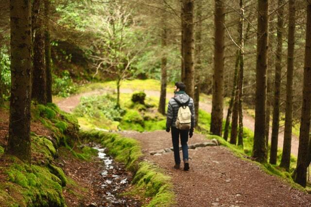 Hiking in trails essentials
