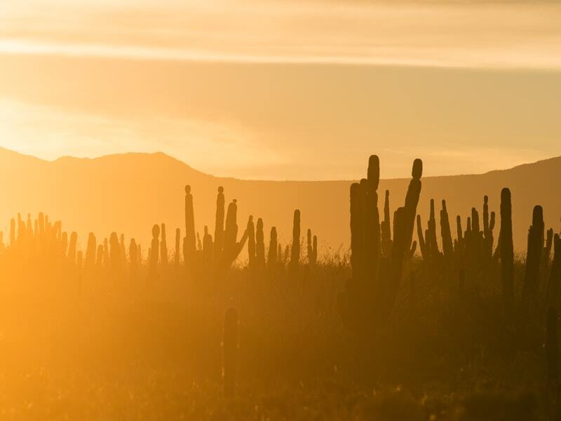 Baja California, Mexico.