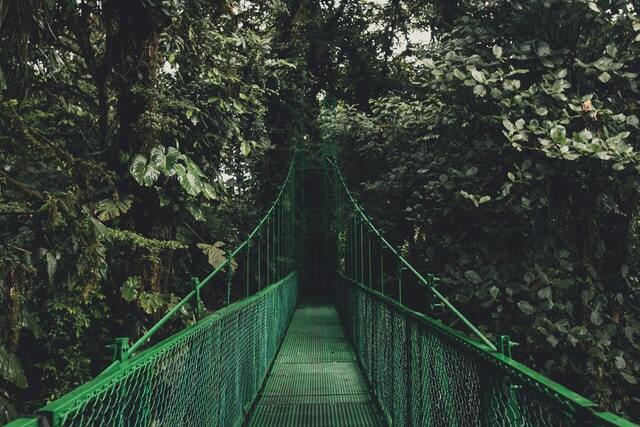 Costa Rica Treetop adventures tour.