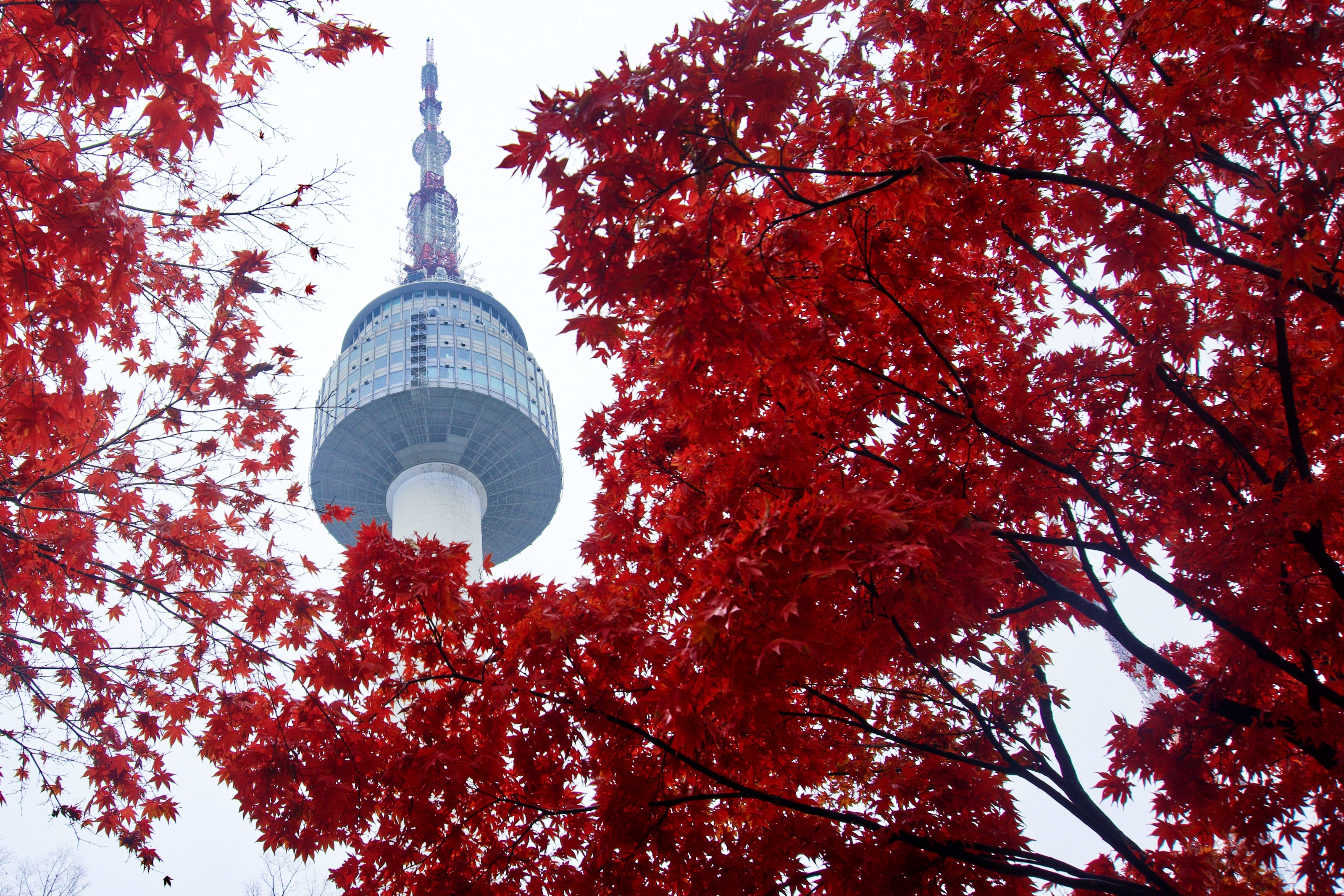 namsan tower Things to do in south korea